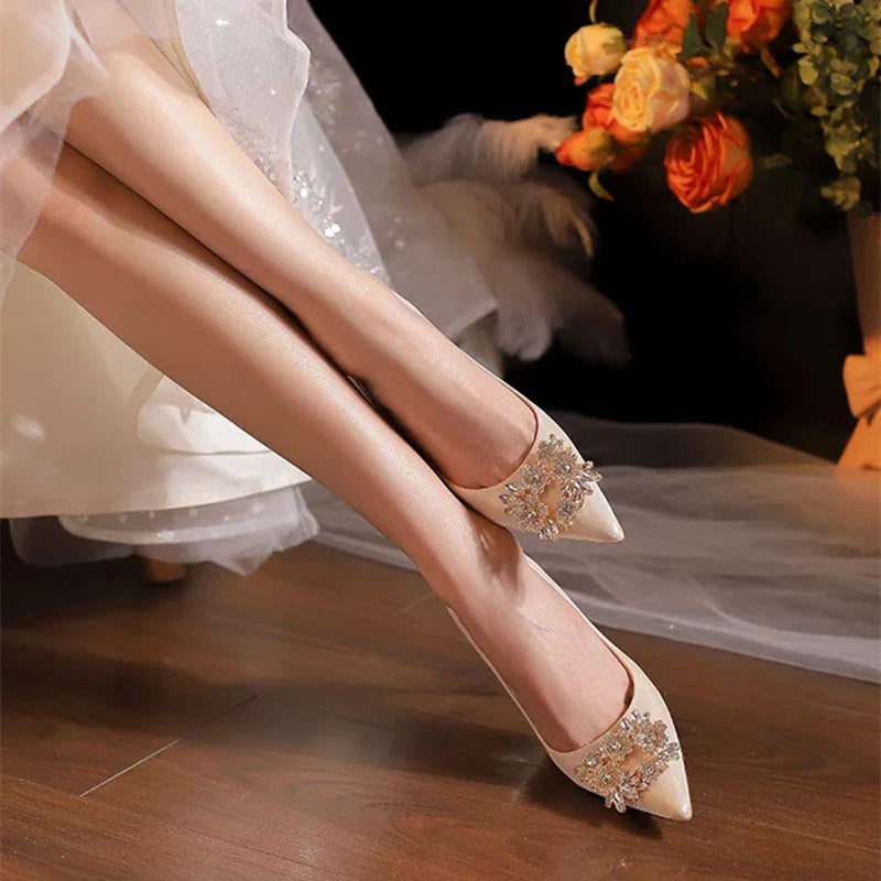 Sapato Elegância à Vista